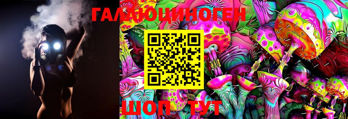 Псилоцибиновые грибы MAGIC MUSHROOMS Усть-Джегута