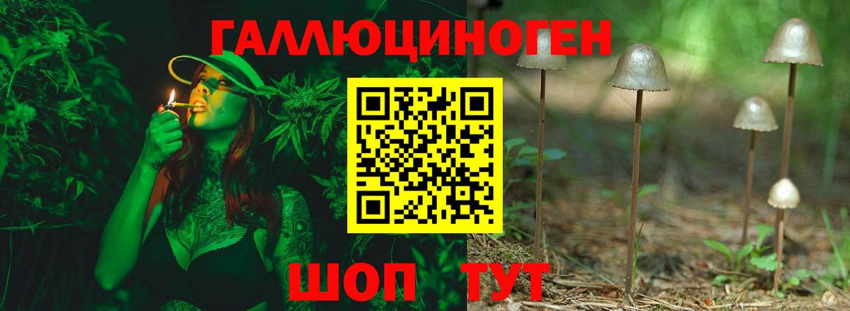 Усть-Джегута  Галлюциногенные грибы мицелий  Вход с VPN  Псилоцибиновые грибы мицелий 